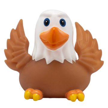 Aquila